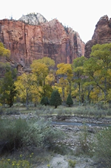 Zion National Park Print, Utah Landscape