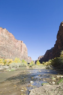 Zion National Park Photography Prints: _TUW7224