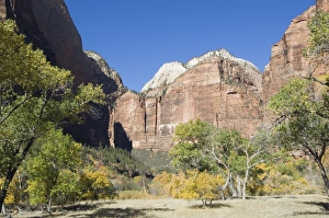 Zion National Park Photography Prints: _TUW7279