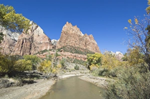 Zion National Park Photography Prints: _TUW7331