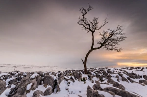 Twistleton Scar End in snow, Ingleton, Yorkshire Dales, Yorkshire, England, United Kingdom Twistleton Scar End in snow, Ingleton, Yorkshire Dales, Yorkshire, England, United Kingdom