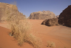 Red Sand Desert Landscape Print