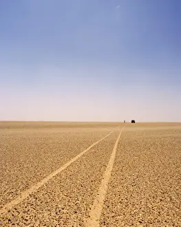 Print of a Sahara Reg, Algeria