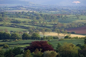 Uk Rural Scenery Prints: Typical patchwork fields, Dorset, England, United Kingdom, Europe