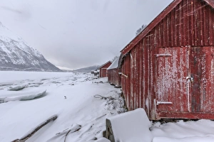 Typical wooden huts in the snowy landscape of Lyngseidet, Lyngen Alps, Tromsoi¿oe Lapland Typical wooden huts in the snowy landscape of Lyngseidet, Lyngen Alps, Tromsoi¿oe Lapland