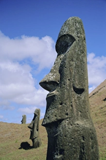 Unfinished heads on outer south slopes of the crater, Rano Raraku, Easter Island, Chile Unfinished heads on outer south slopes of the crater, Rano Raraku, Easter Island, Chile