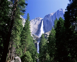US National Parks Prints: Upper and Lower Yosemite Falls