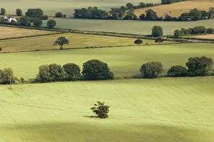 The Vale of Evesham Print from the Malvern Hills
