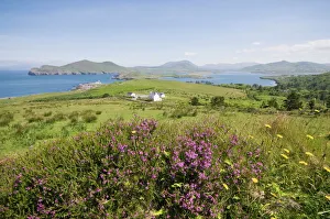 Valentia Island, Ring of Kerry, County Kerry, Munster, Republic of Ireland, Europe Valentia Island, Ring of Kerry, County Kerry, Munster, Republic of Ireland, Europe