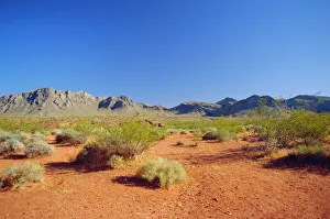 North America Landscapes Prints: Valley of Fire State Park