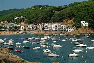 Prints of View across bay to village and beach, Tamariu, Costa Brava, Gerona, Cataluna, Spain, Mediterranean, Europe Spain Prints: Tamariu Village and Beach Print