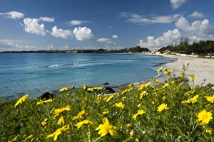 Blue Mediterranean Sea Prints: View over beach in spring, Fontane Bianche, near Siracusa, Sicily, Italy