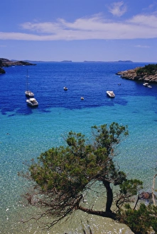 European Ocean Views Prints: View of Cala Salada