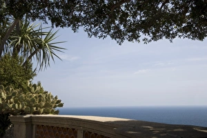 Prints of View from the Exotic Garden, Monaco, Cote d Azur, Mediterranean, Europe Monaco Prints: Monaco Exotic Garden Print