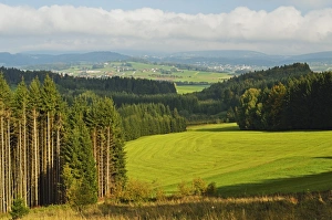 High Angle View Of Bavaria Prints: View of forest and Breitenberg in the distance, Bavaria, Germany, Europe
