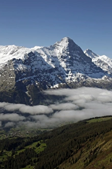 Images Dated 4th June 2010: View from Grindelwald-First Print, Bernese Alps with Eiger