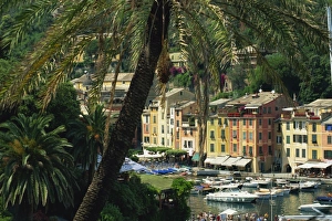 Liguria Italy Landscape Prints: View over harbour from hillside