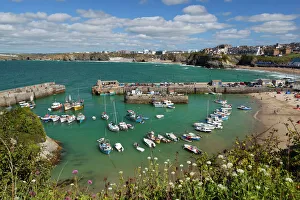 British Seaside Scene Prints: View over the harbour, Newquay, Cornwall, England