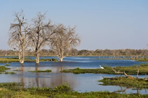 View of the Khwai River in the Okavango Delta, Botswana, Africa View of the Khwai River in the Okavango Delta, Botswana, Africa