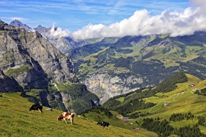 View from Kleine Scheidegg to Murren and Lauterbrunnen Valley, Grindelwald View from Kleine Scheidegg to Murren and Lauterbrunnen Valley, Grindelwald