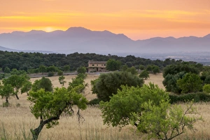 View of landscape with olive trees and mountains at dusk with farmhouse in landscape View of landscape with olive trees and mountains at dusk with farmhouse in landscape