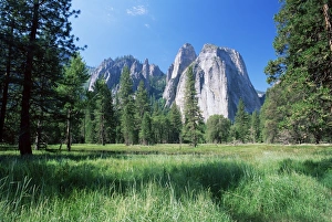 West Coast Scenic Views Prints: View across meadows to Cathedral Rocks