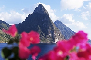 St Lucia Pitons Prints: View of the Pitons volcanic mountains