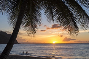 A view out to sea at sunset beneath the palm trees at Castara Bay in Tobago, Trinidad and Tobago A view out to sea at sunset beneath the palm trees at Castara Bay in Tobago, Trinidad and Tobago