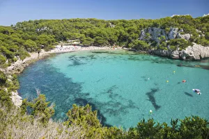 View over the turquoise waters of Cala Macarella to pine-fringed sandy beach View over the turquoise waters of Cala Macarella to pine-fringed sandy beach