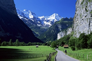 Prints of View along valley to the Breithorn, Lauterbrunnen, Bern, Switzerland, Europe Bern Prints: Breithorn Valley Landscape Print