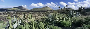View over the volcanic landscape of Parque Natural de Los Volcanes, La Geria, Lanzarote View over the volcanic landscape of Parque Natural de Los Volcanes, La Geria, Lanzarote