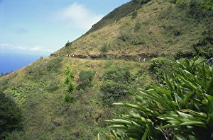 Walkers on Green Mountain, Ascension Island, Mid Atlantic Walkers on Green Mountain, Ascension Island, Mid Atlantic
