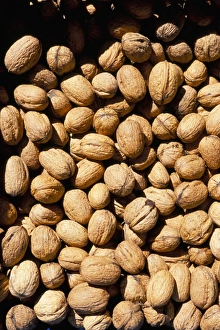 Walnut Photography Prints: Walnuts