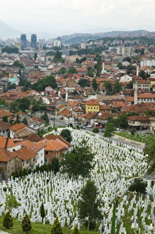 War cemetery, Sarajevo, Bosnia, Bosnia-Herzegovina, Europe War cemetery, Sarajevo, Bosnia, Bosnia-Herzegovina, Europe