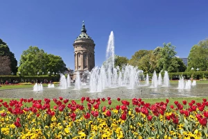 Germany Travel Guide Prints: Wasserturm am Friedrichsplatz, Mannheim, Baden-Wurttemberg, Germany, Europe