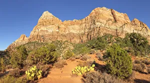 Watchman Mountain, Zion National Park, Colorado Plateau, Utah, United States of America Watchman Mountain, Zion National Park, Colorado Plateau, Utah, United States of America