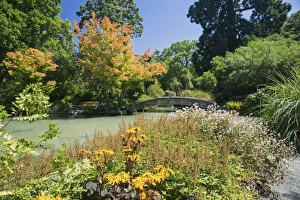 The Water Garden, Christchurch Botanic Gardens, Christchurch, Canterbury, South Island The Water Garden, Christchurch Botanic Gardens, Christchurch, Canterbury, South Island