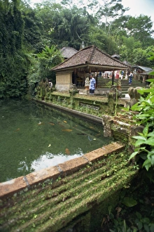 Water Temple Print, Bali