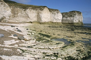 Yorkshire Coast Scenery Prints: Wave-cut platform, and chalk cliffs, Flamborough South Landing, Yorkshire