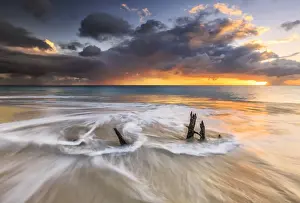 Caribbean Sea Scenery Prints: The waves and caribbean sunset frames tree trunks on Ffryes Beach