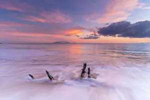 Waves crashing on tree trunks on sand beach at sunset, Antilles, Caribbean, Central Waves crashing on tree trunks on sand beach at sunset, Antilles, Caribbean, Central