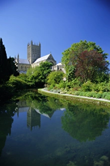 Prints of Wells Cathedral from the grounds of the Bishops Palace, Wells, Somerset, England, UK, Europe Palace Prints: Wells Cathedral Print from the Bishops Palace Grounds