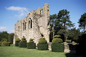 Prints of Wenlock Priory and topiary, Much Wenlock, Shropshire, England, United Kingdom, Europe Much Wenlock Prints: Wenlock Priory Print, topiary and gardens in Shropshire