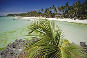 Philippines Prints: West Coast Beach Print, Boracay Island