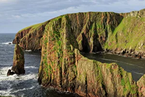 Prints of Westerwick, dramatic coastal views, red granite sea cliffs and stacks, West Mainland, Shetland Isles, Scotland, United Kingdom, Europe Shetland Prints: Westerwick Red Granite Coastline Print