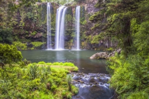 Whangarei Falls, a popular waterfall in the Northlands Region of North Island, New Zealand Whangarei Falls, a popular waterfall in the Northlands Region of North Island, New Zealand