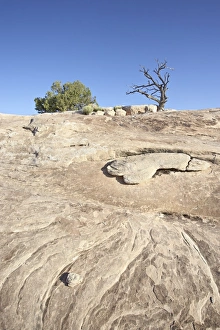 Barren Rock Formations Prints: White rock