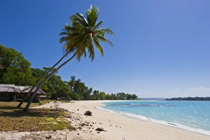 White sand beach in Port Orly, Island of Espiritu Santo, Vanuatu, South Pacific, Pacific White sand beach in Port Orly, Island of Espiritu Santo, Vanuatu, South Pacific, Pacific