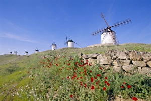 Wind Power Europe Prints: Windmills in Consuegra
