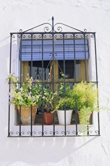 Window and flower pots Print, Mijas Village Scene